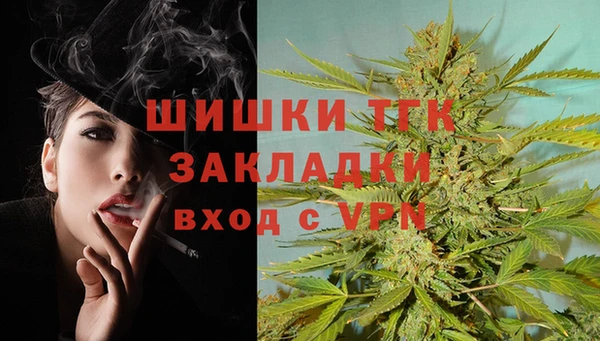 ГАЛЛЮЦИНОГЕННЫЕ ГРИБЫ Богданович