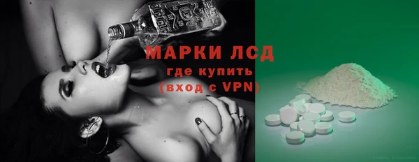 ГАЛЛЮЦИНОГЕННЫЕ ГРИБЫ Богданович