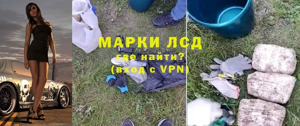 ГАЛЛЮЦИНОГЕННЫЕ ГРИБЫ Богданович