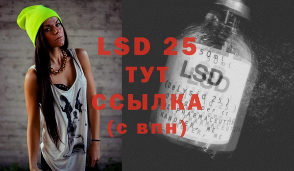 ГАЛЛЮЦИНОГЕННЫЕ ГРИБЫ Богданович