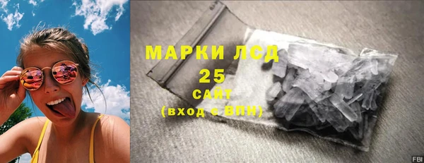 ГАЛЛЮЦИНОГЕННЫЕ ГРИБЫ Богданович