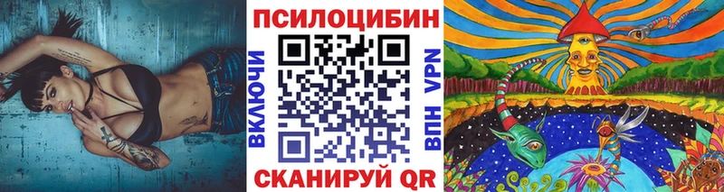 Галлюциногенные грибы Psilocybe Палласовка